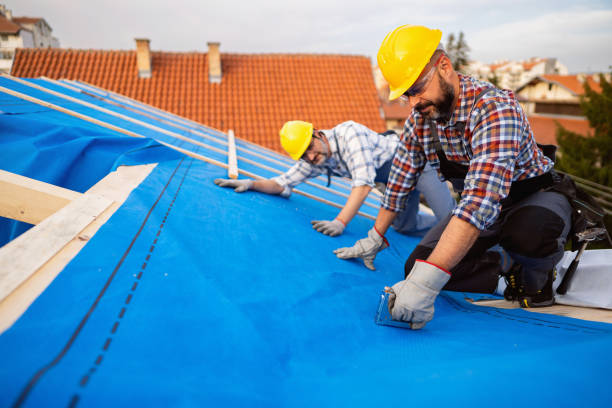 Best Roof Ventilation Installation  in Grove City, OH